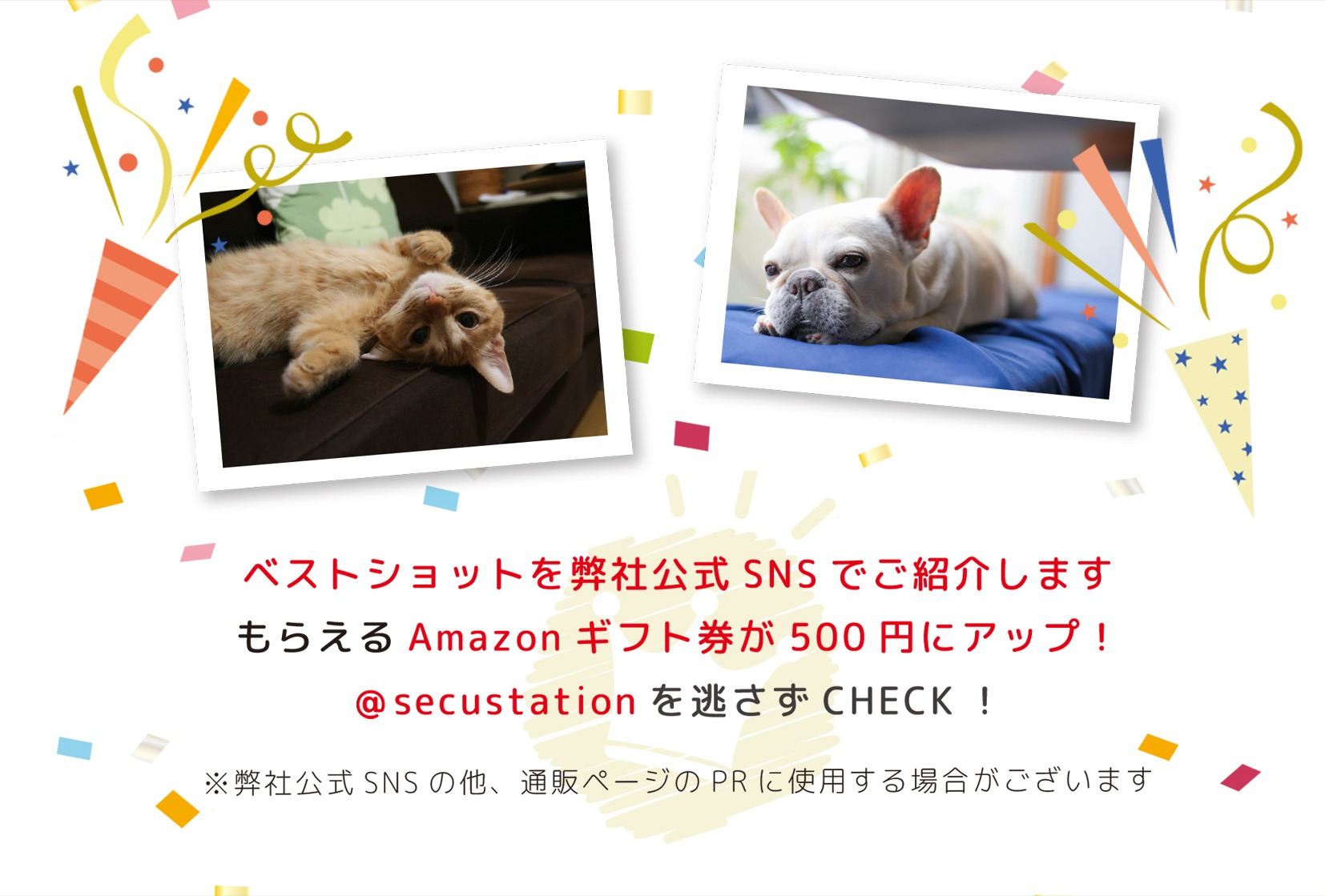 キャンペーン画像8